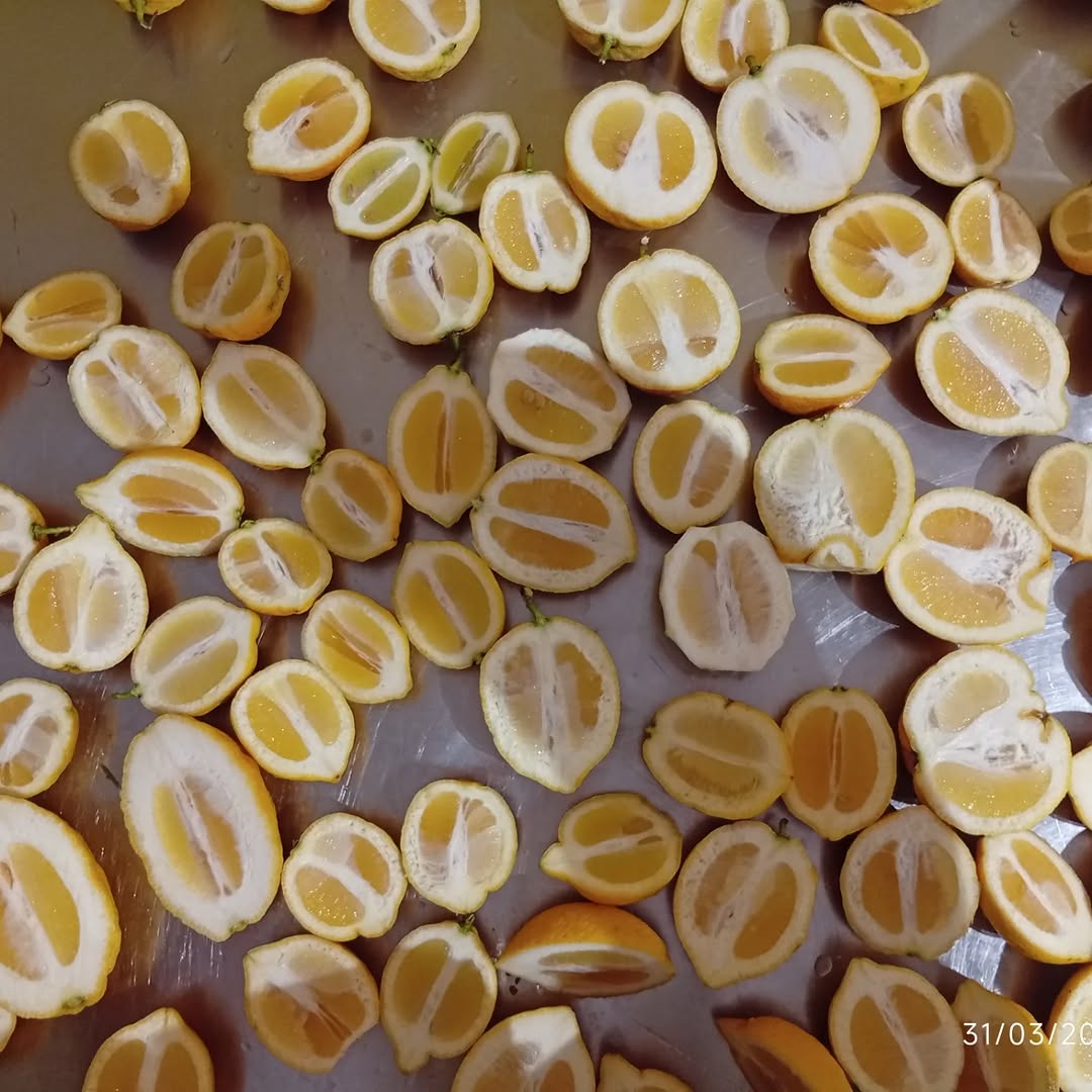 Fresh handmade lemonade at Marni Breakfast Evdilos